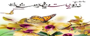 عکس روز